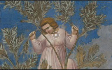 Entrata di Gesù a Gerusalemme di Giotto